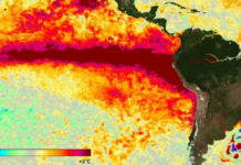 El Niño será «muy fuerte» y durará al menos hasta febrero, alerta la ONU